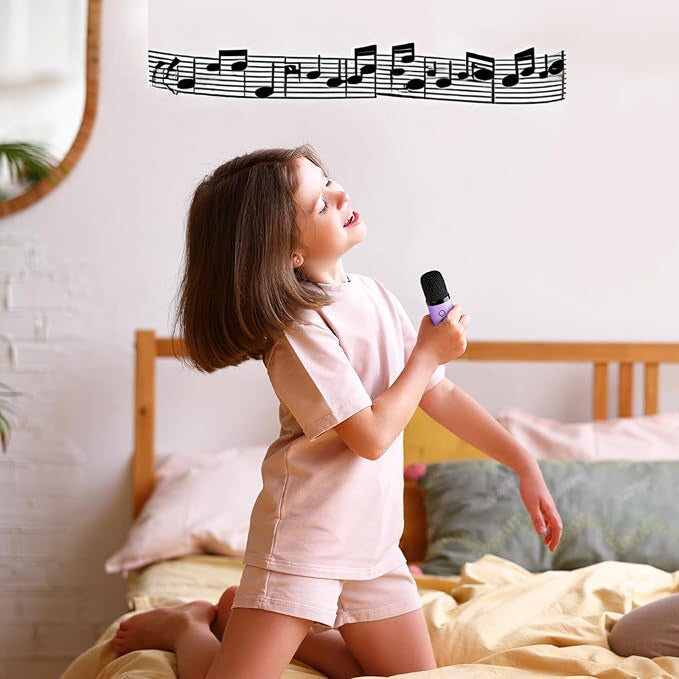 Mini Karaoke Portatil + Microfono Inalámbrico