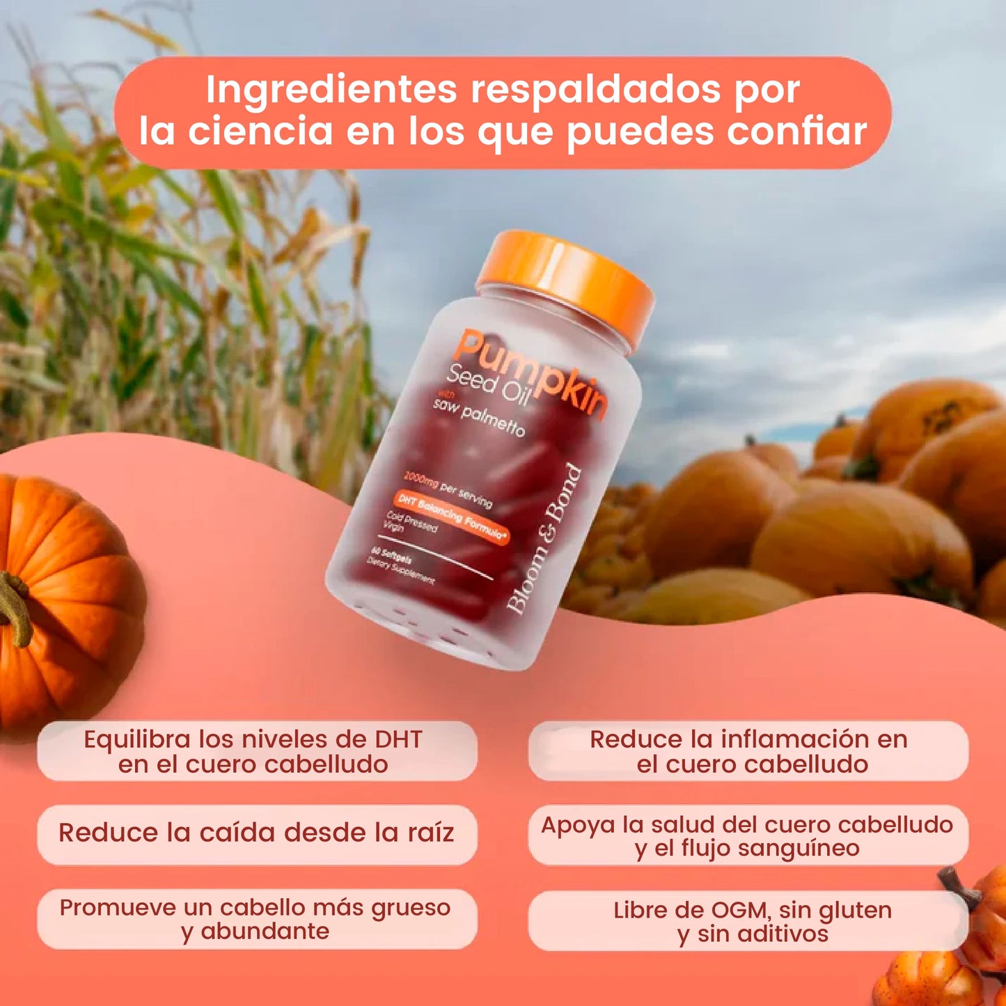 Suplemento de aceite de calabaza contra la calvicie y perdida de cabello
