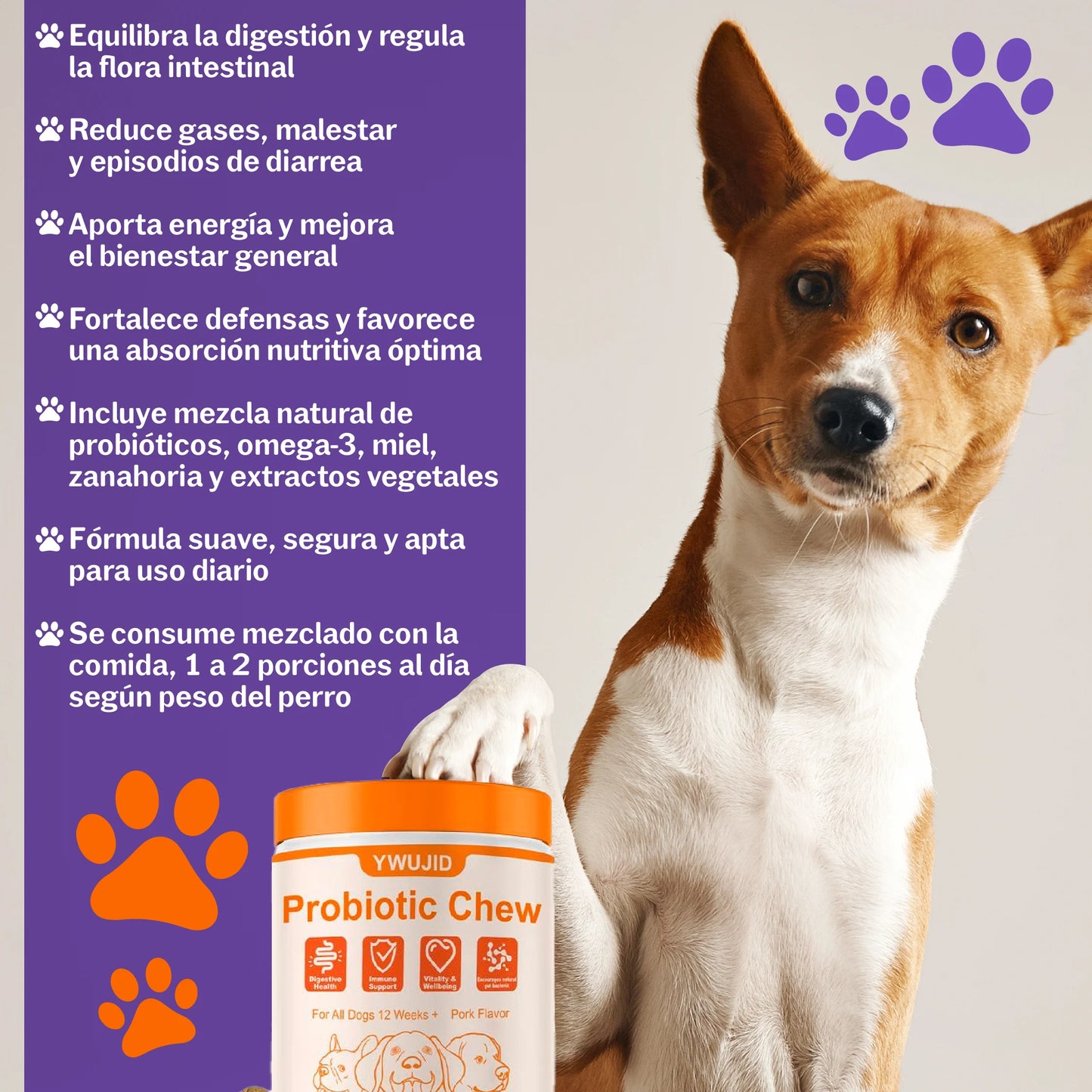 Probióticos 100 Naturales para el apoyo intestinal e inmunológico de tu mascota